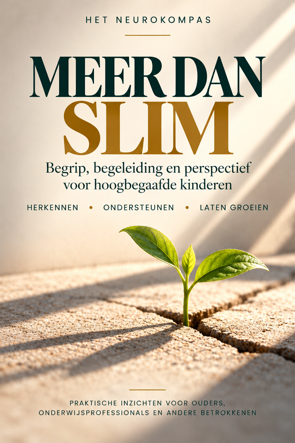 Boekomslag Meer dan slim